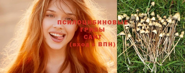 COCAINE Белокуриха