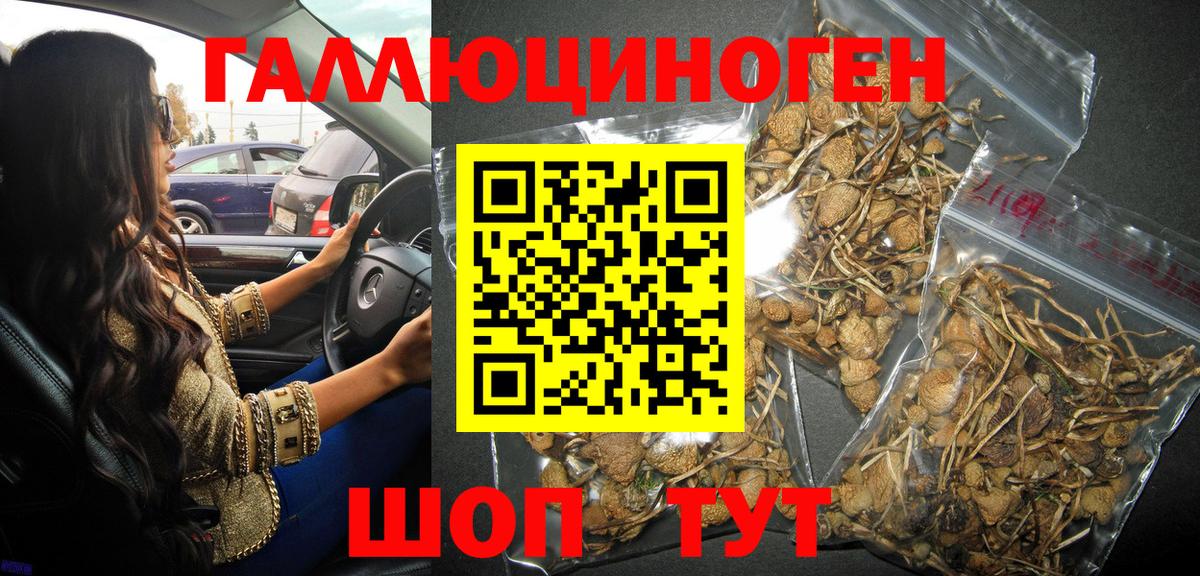 Галлюциногенные грибы ЛСД Гулькевичи